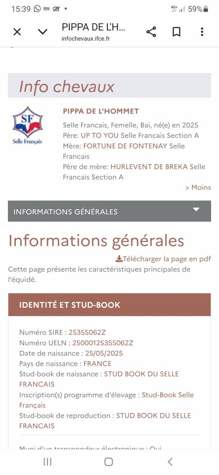 Pouliche SF par Up to you 