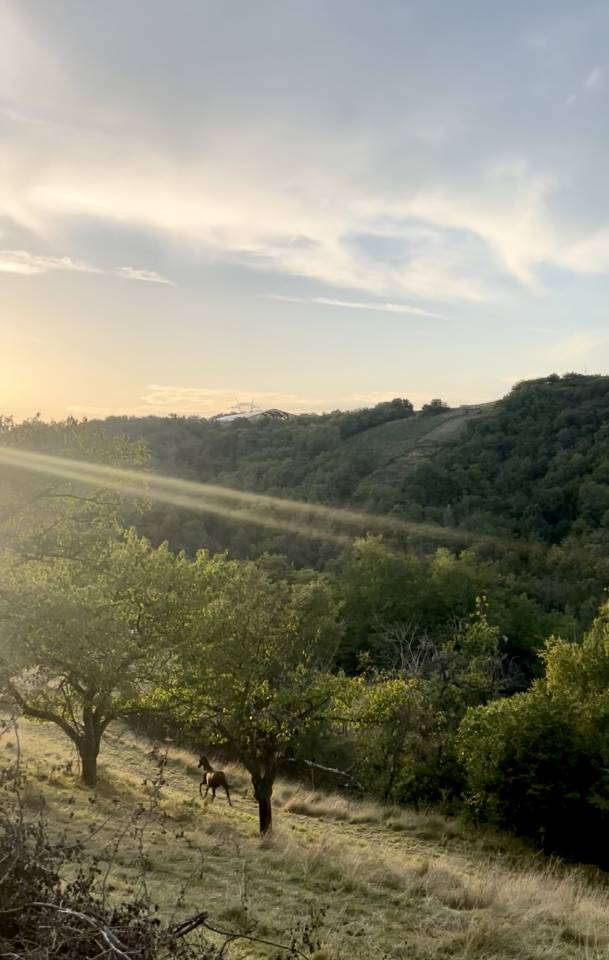 pension pr&eacute; paradis type equipiste petit prix 