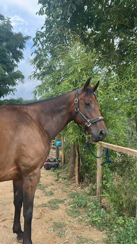 pension pr&eacute; paradis type equipiste petit prix 