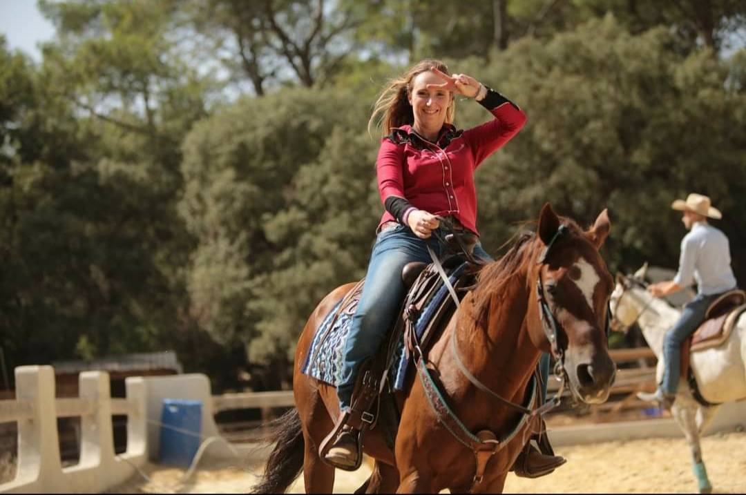 Cheval Quarter Horse (sans papiers), alezan, âgé de 13 ans