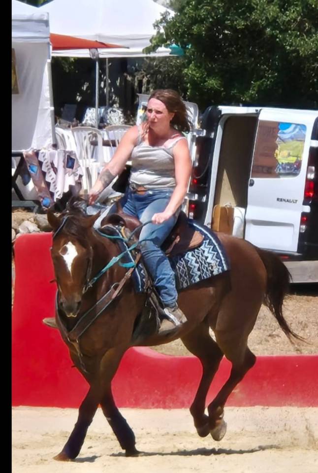 Cheval Quarter Horse (sans papiers), alezan, âgé de 13 ans