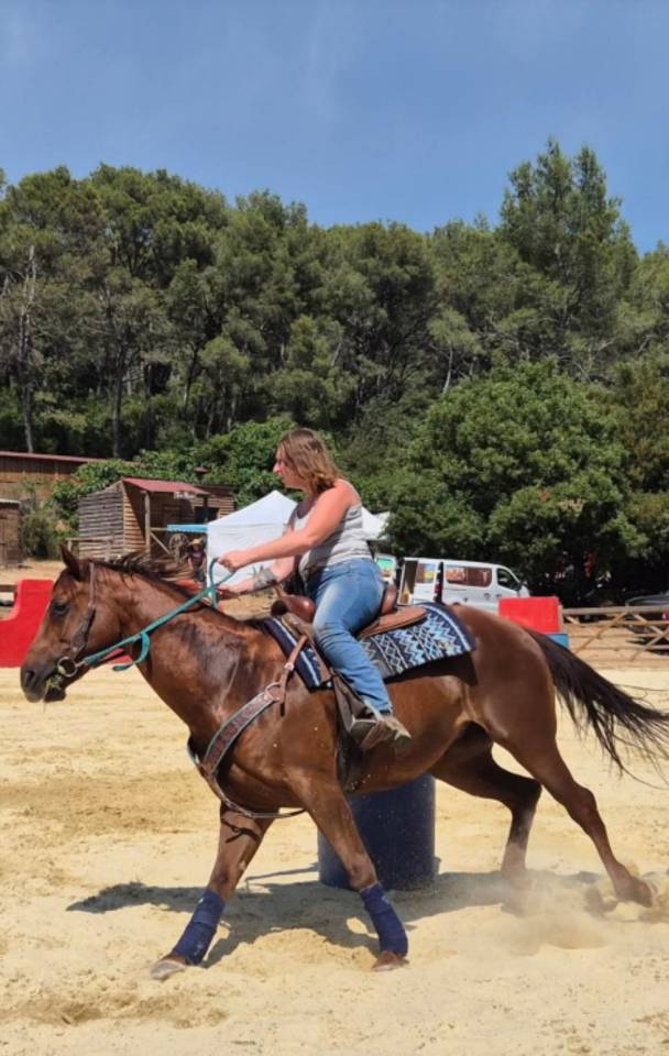 Cheval Quarter Horse (sans papiers), alezan, âgé de 13 ans