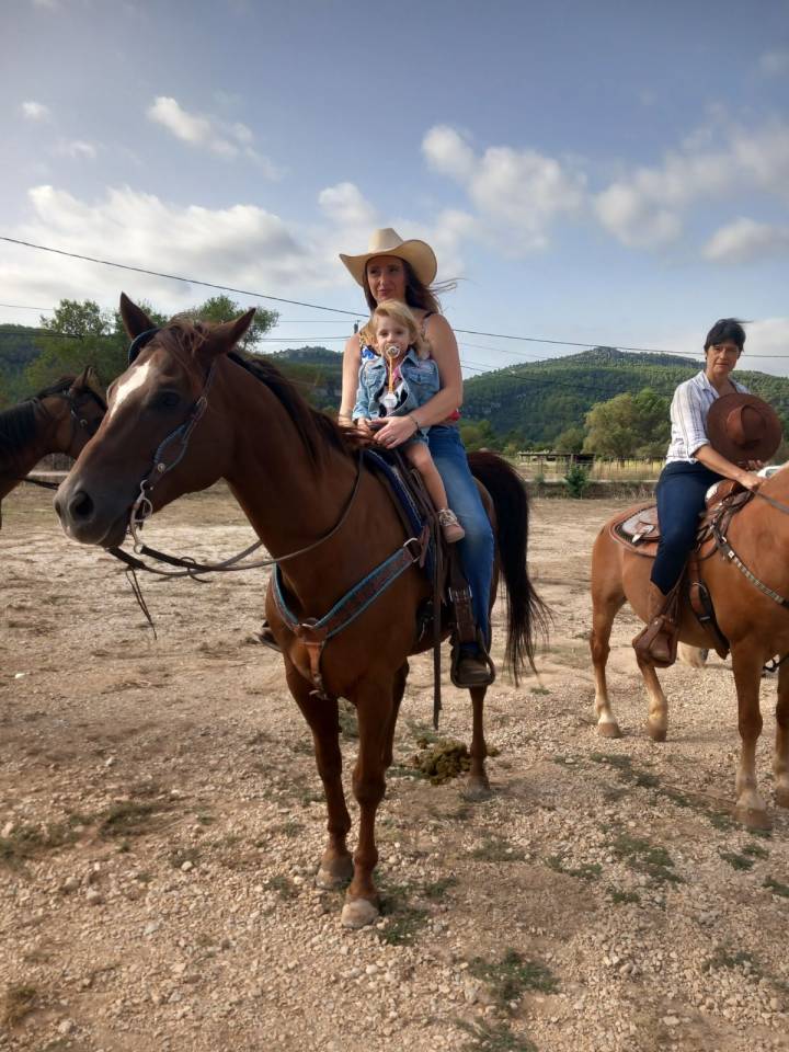 Cheval Quarter Horse (sans papiers), alezan, âgé de 13 ans