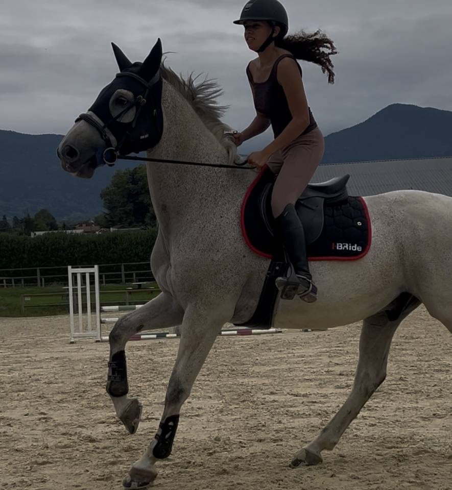 Cheval potentiel 160