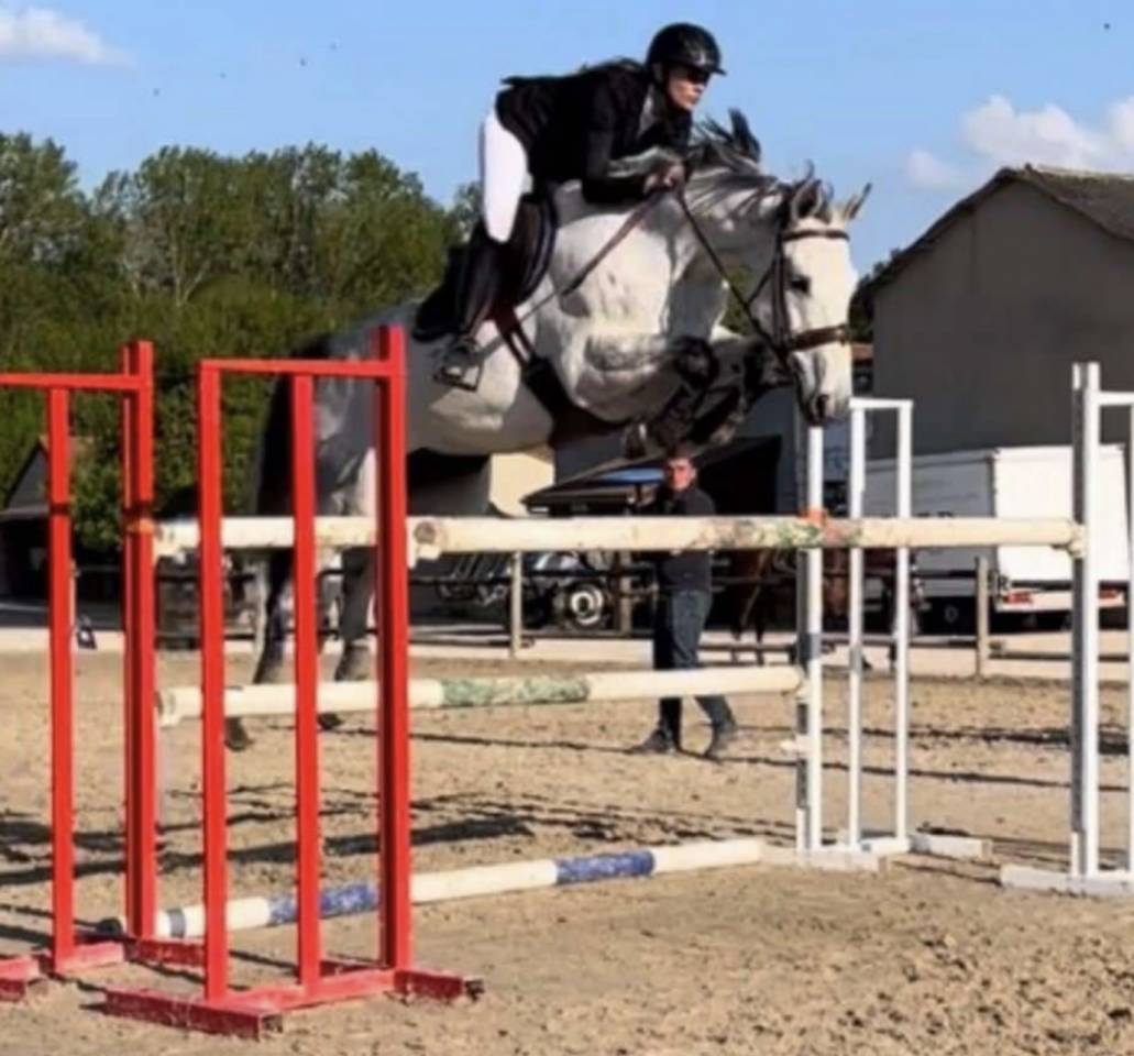 Cheval potentiel 160