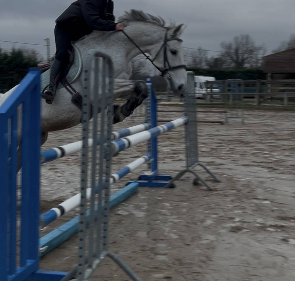 Cheval potentiel 160