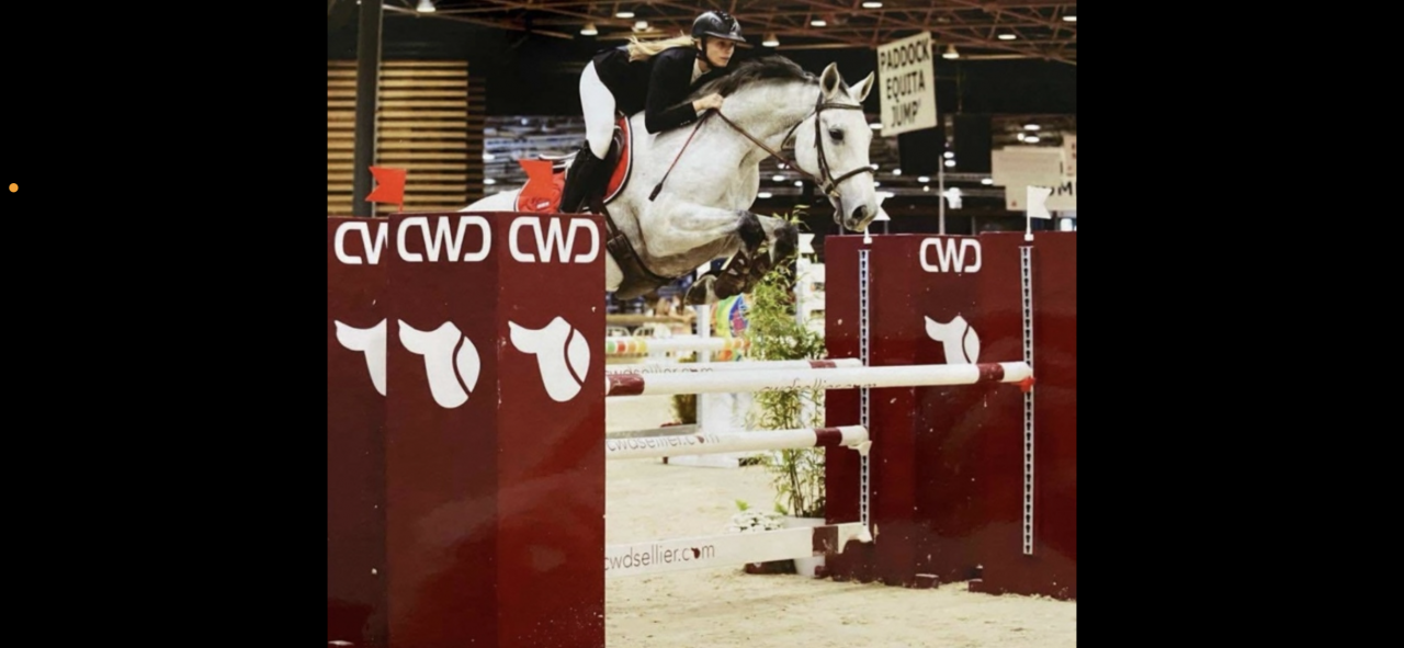 Cheval potentiel 160