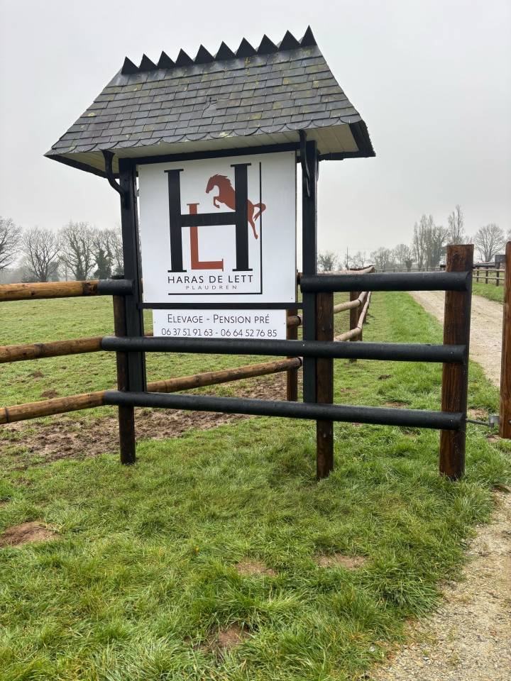 Pension pré pour chevaux et poneys 