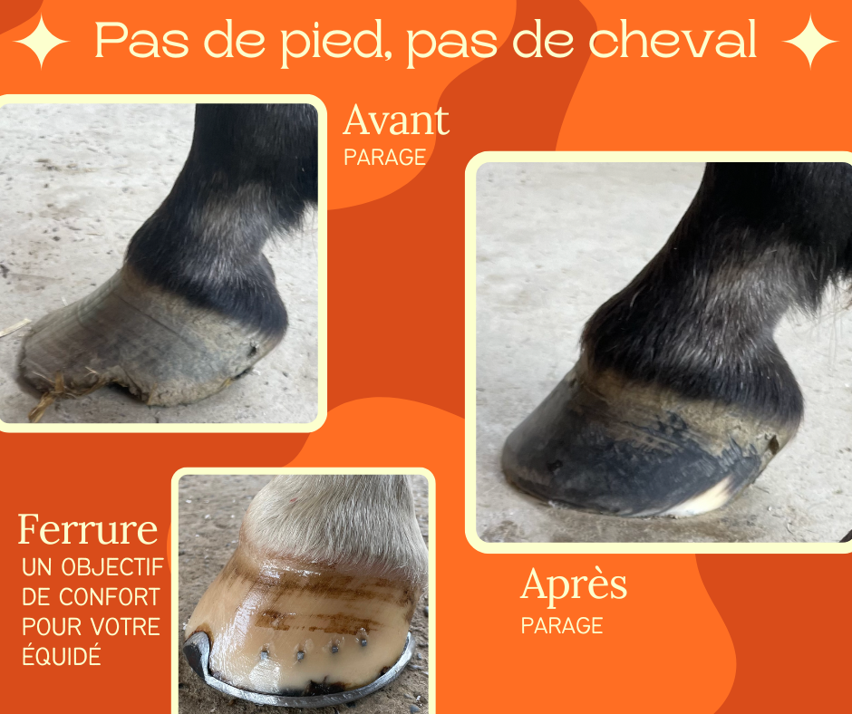 Goze-Bac Maréchal ferrant 05 04