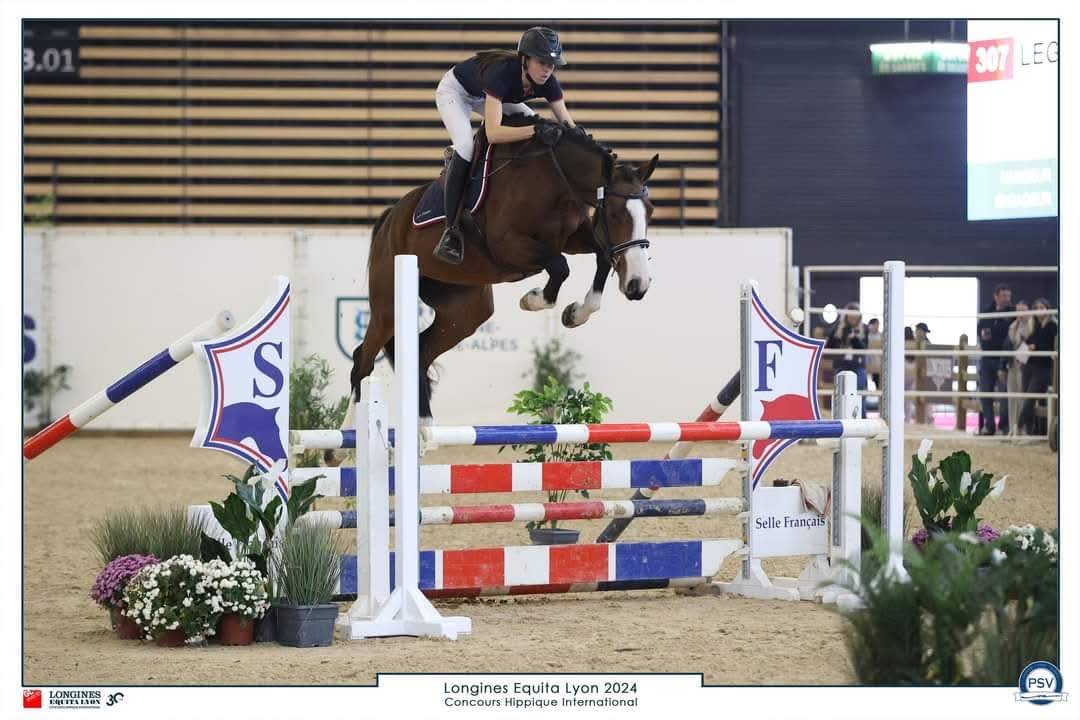 Pouliche CSO bai foncée gros potentiel souche 145