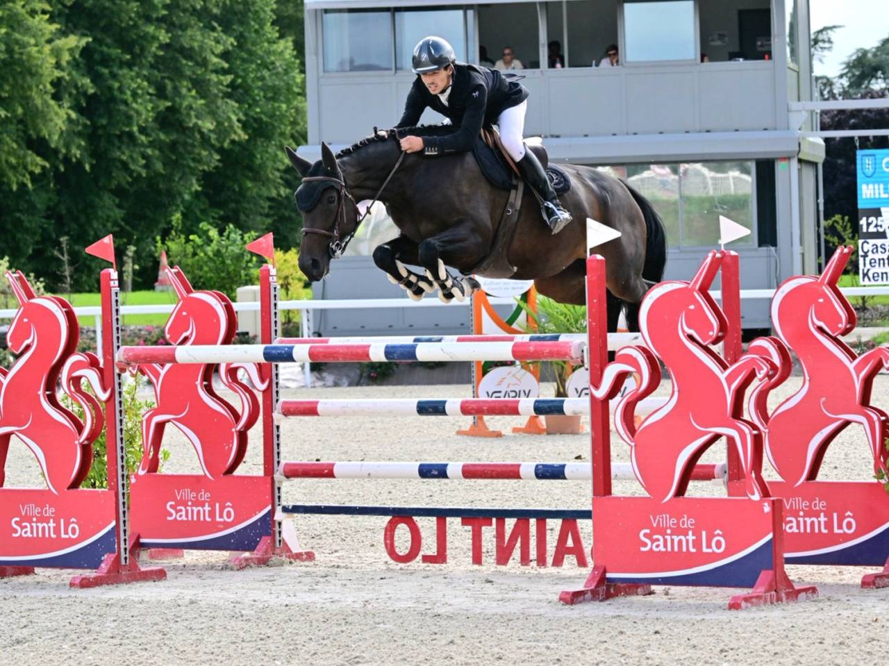 Chic jument 6 ans
