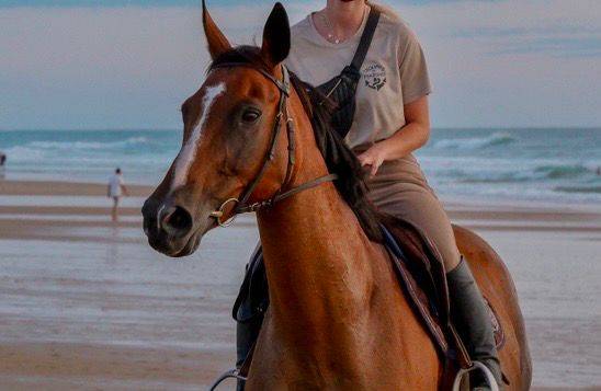 A vendre Urbane du Maine