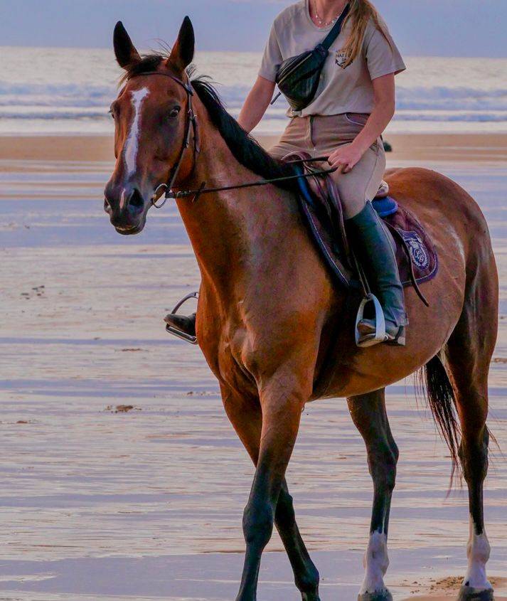 A vendre Urbane du Maine