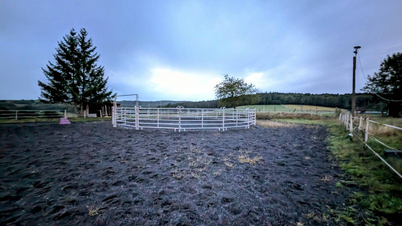 PENSION COLLECTIVE - MANEGE - STABULATION