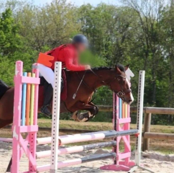 À VENDRE – Super Ponette D