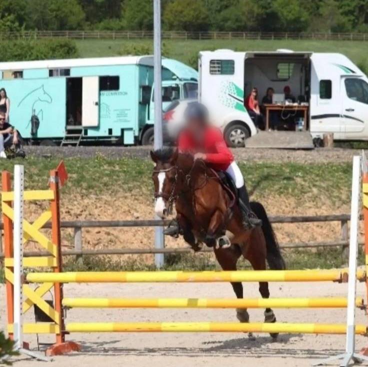 À VENDRE – Super Ponette D