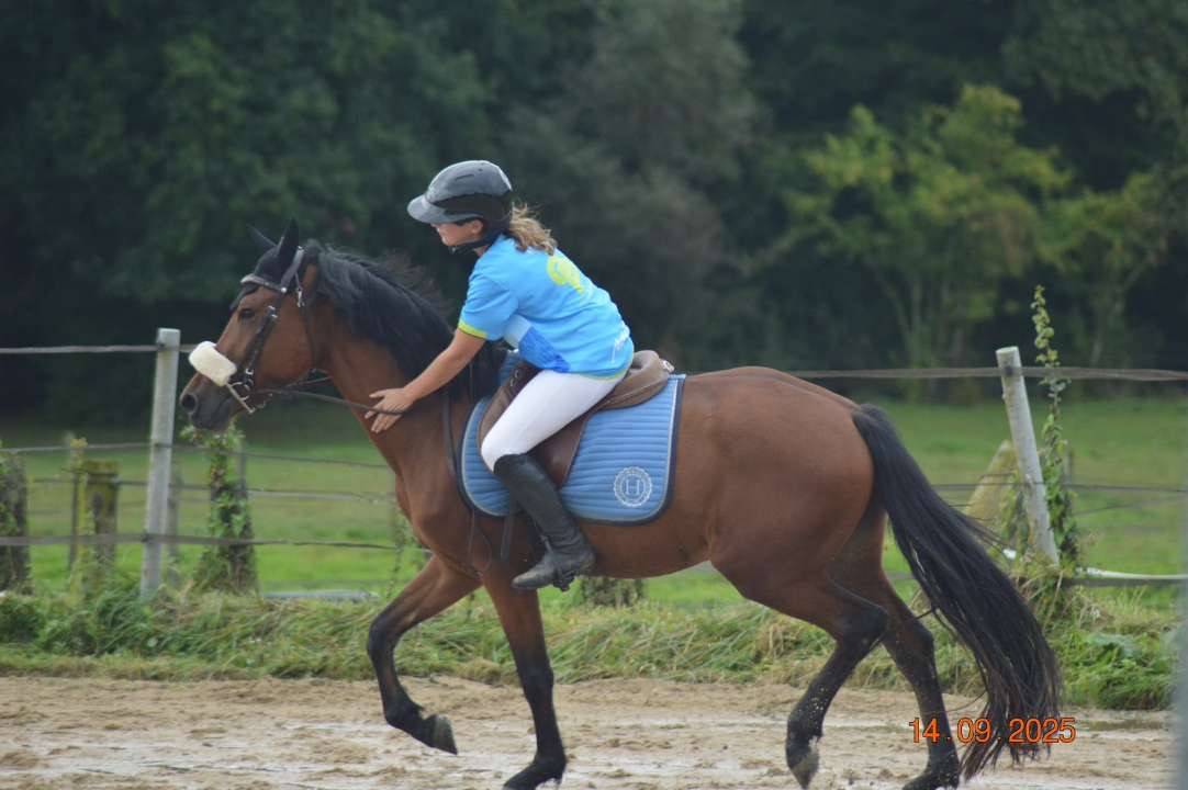 Poney 3 ans