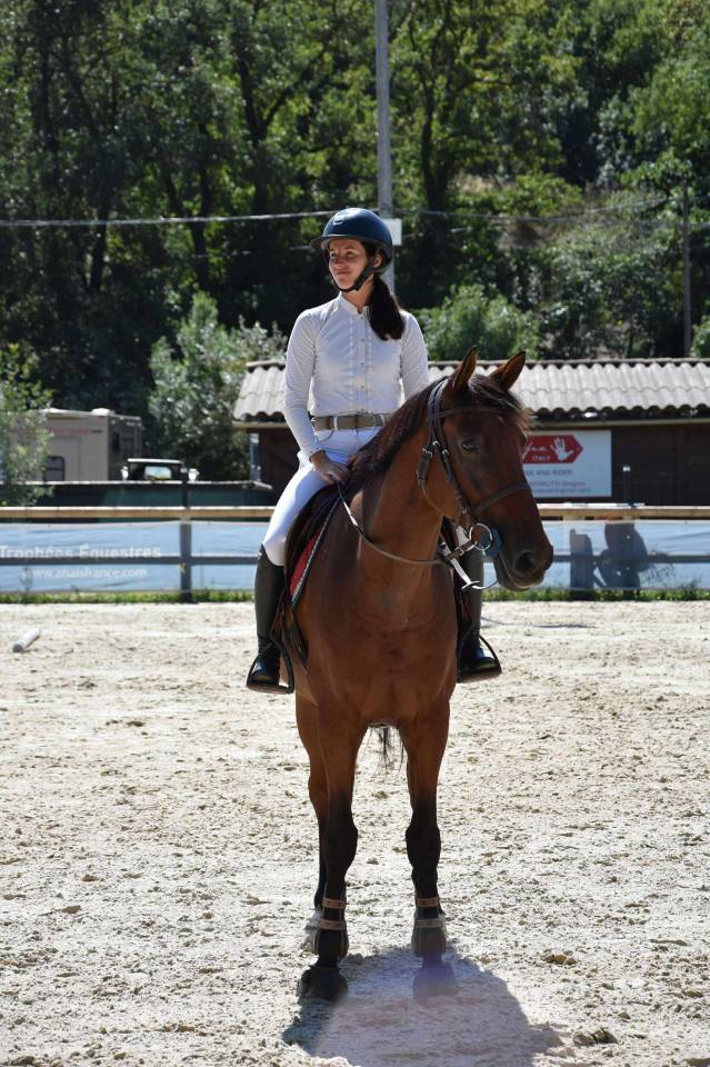 Hongre de 12 ans, top concours, idéal amateur élite 