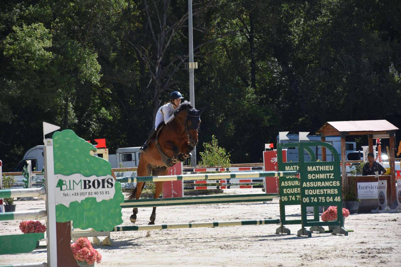 Hongre par Nabab de rêve, top concours 