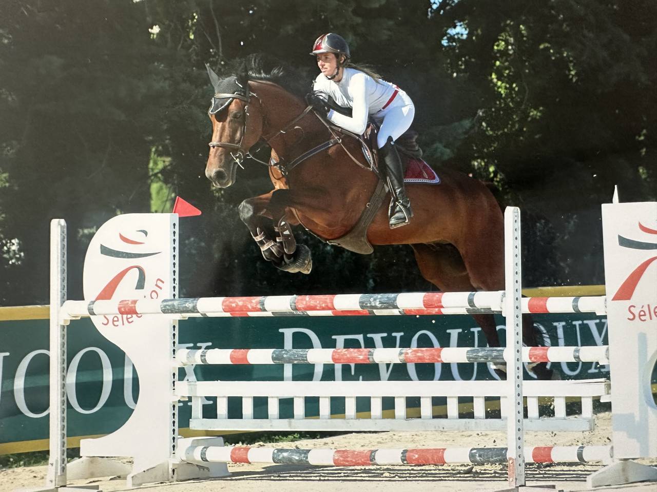 Hongre par Nabab de rêve, top concours 