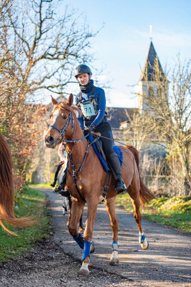 À vendre – Ghalab, hongre PSA de 9 ans, qualifié 100 km