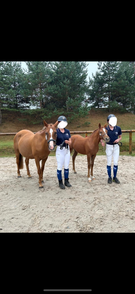 10ème de France Foal FA!