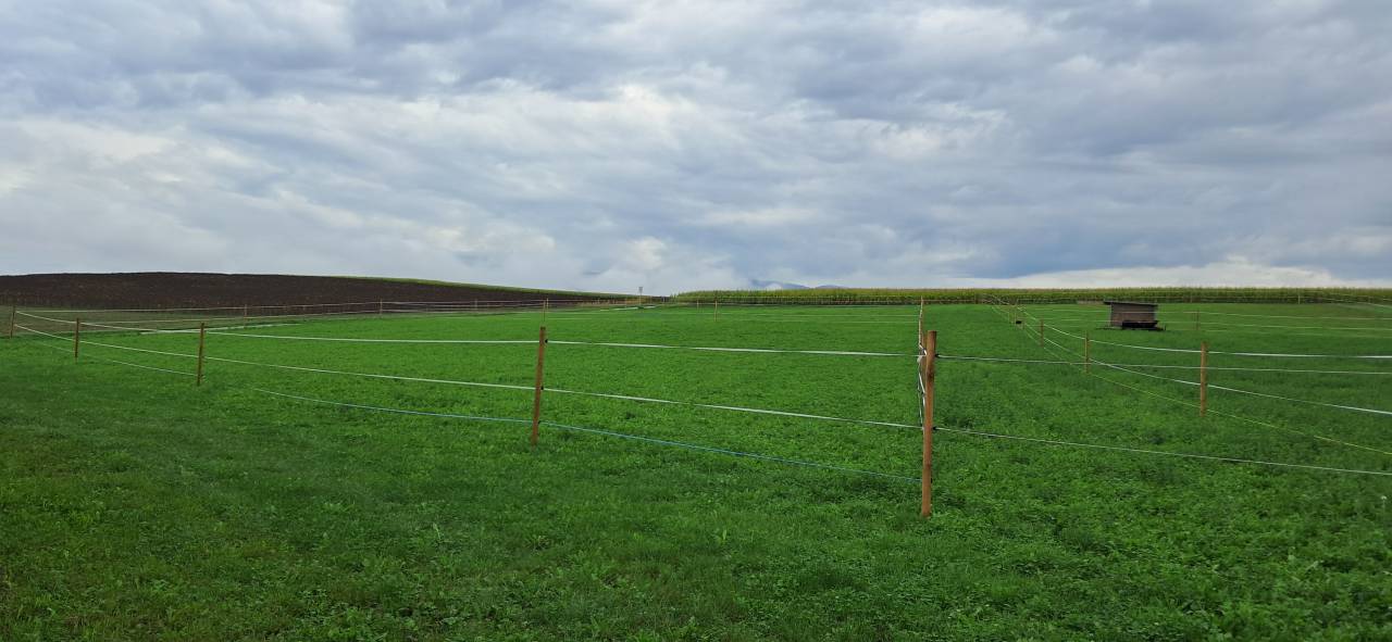 2 boxes &agrave; louer dans ferme familiale &agrave; Senarclens
