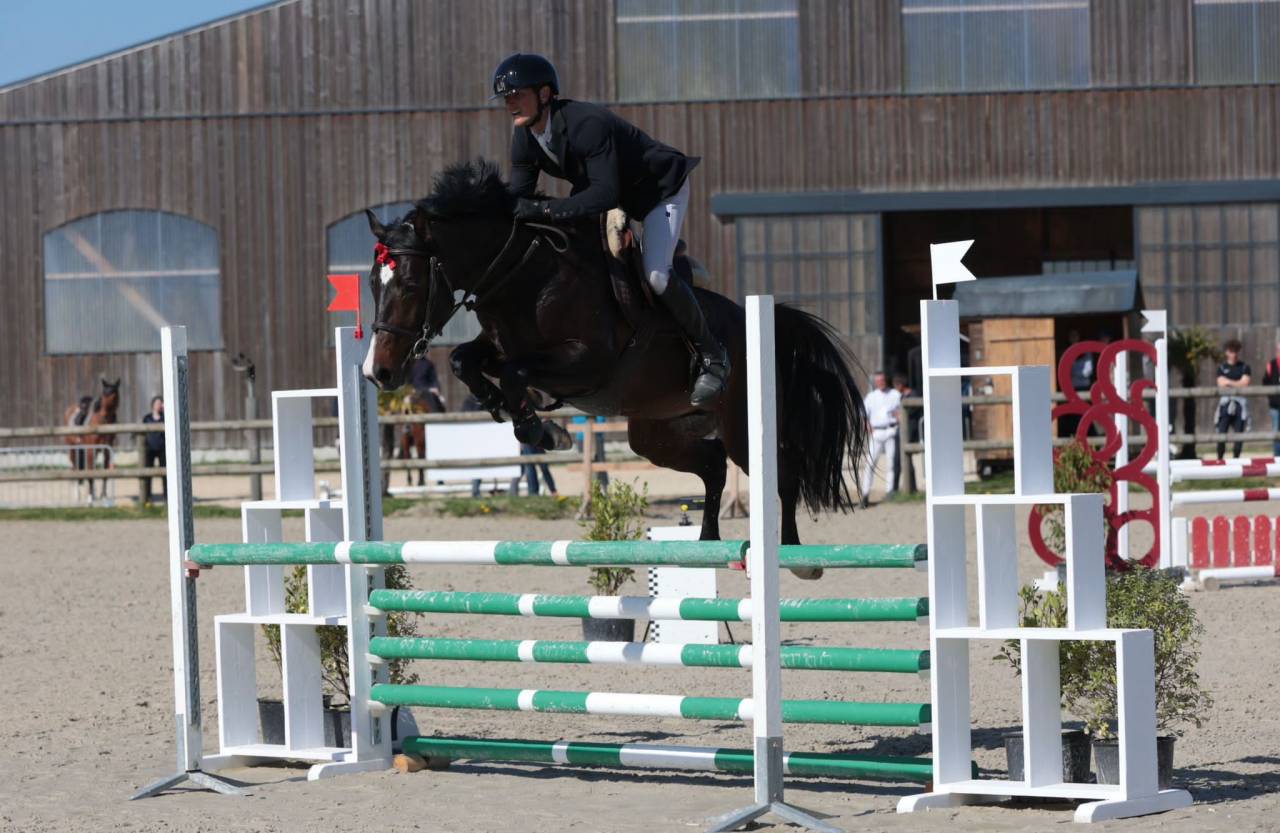 Étalon par Grandorado  2020 