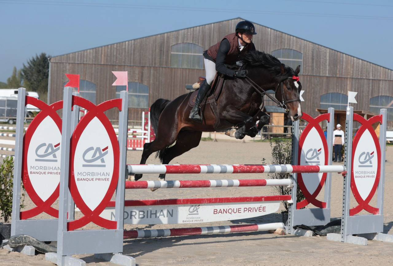 Étalon par Grandorado  2020 