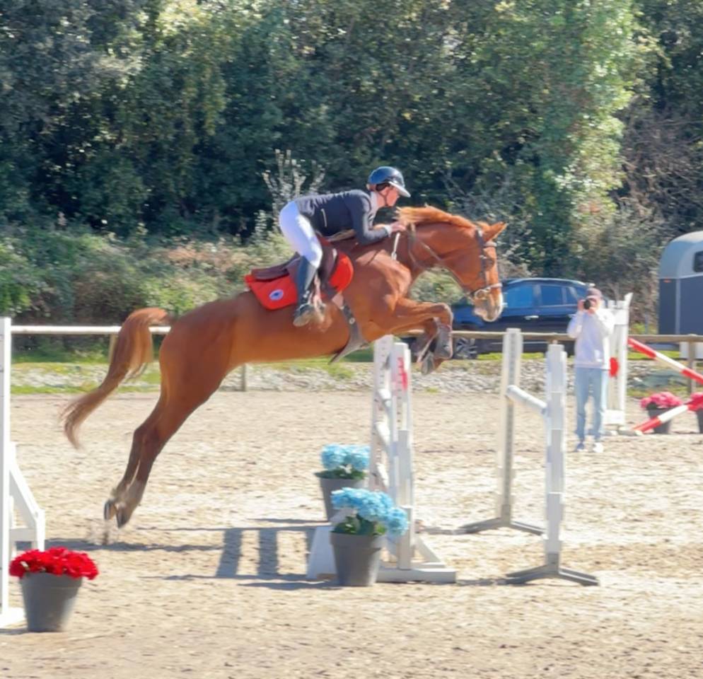 Jument 9 ans CSO 