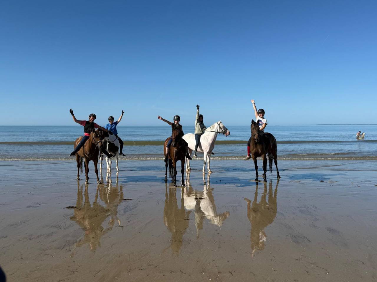 Ecuries Du Val de l'Eure