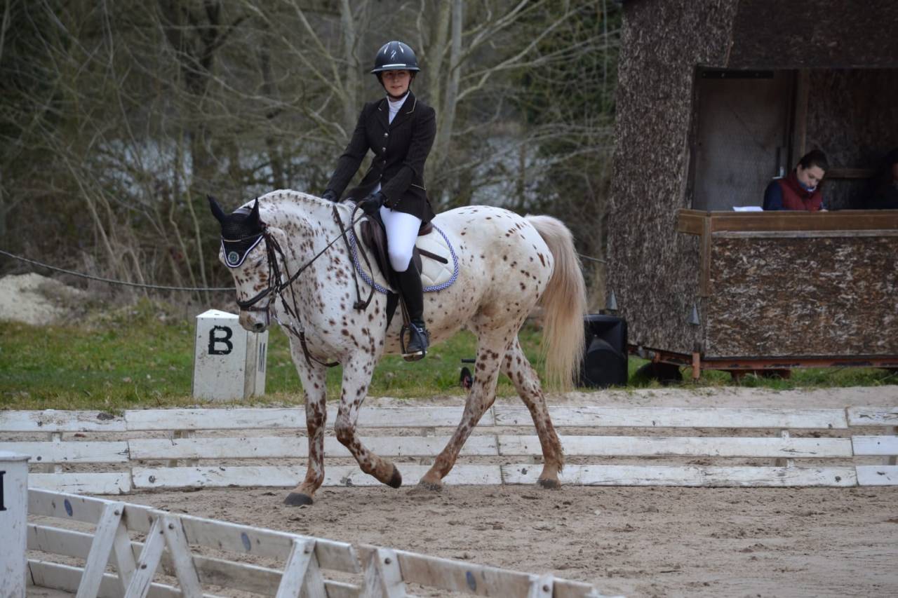 Ecuries Du Val de l'Eure