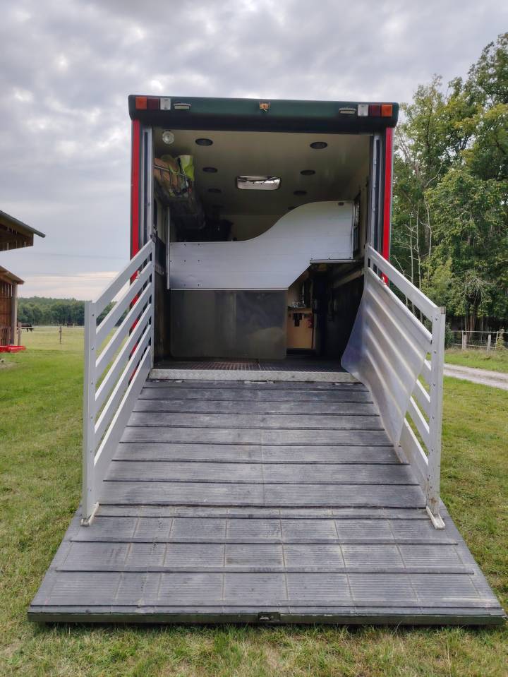 Camion chevaux Man ❗Nouveau numéro tel❗