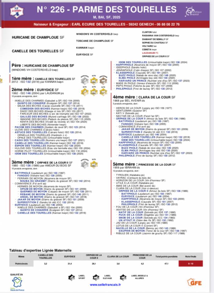 FOAL PARME DES TOURELLES mâle 6 mois
