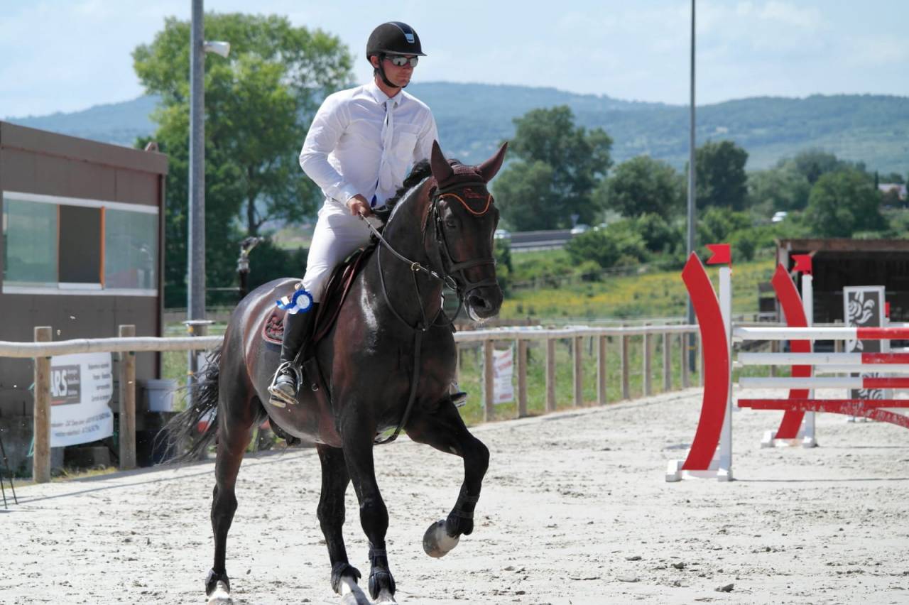 CAVALIER JEUNES CHEVAUX