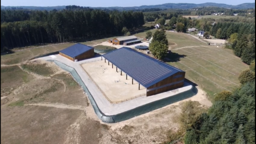 CAVALIER JEUNES CHEVAUX