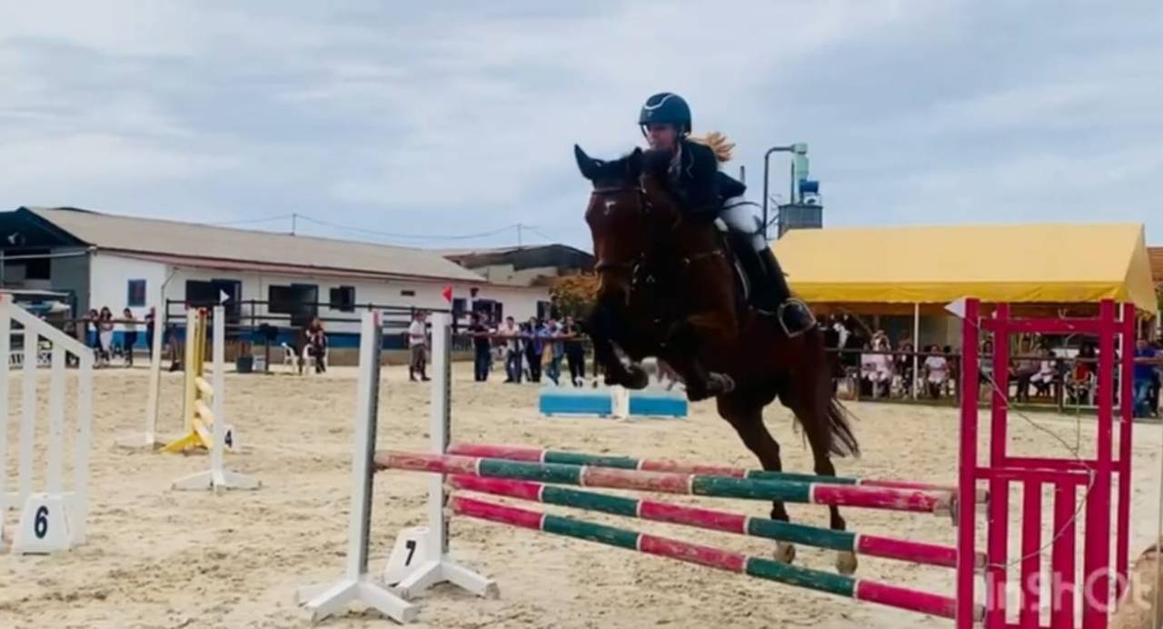 Jument Pur-Sang Anglais 7 ans 