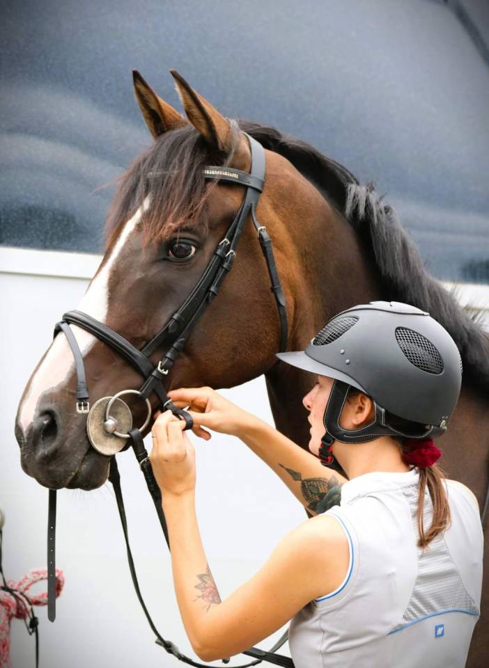 A vendre Super cheval