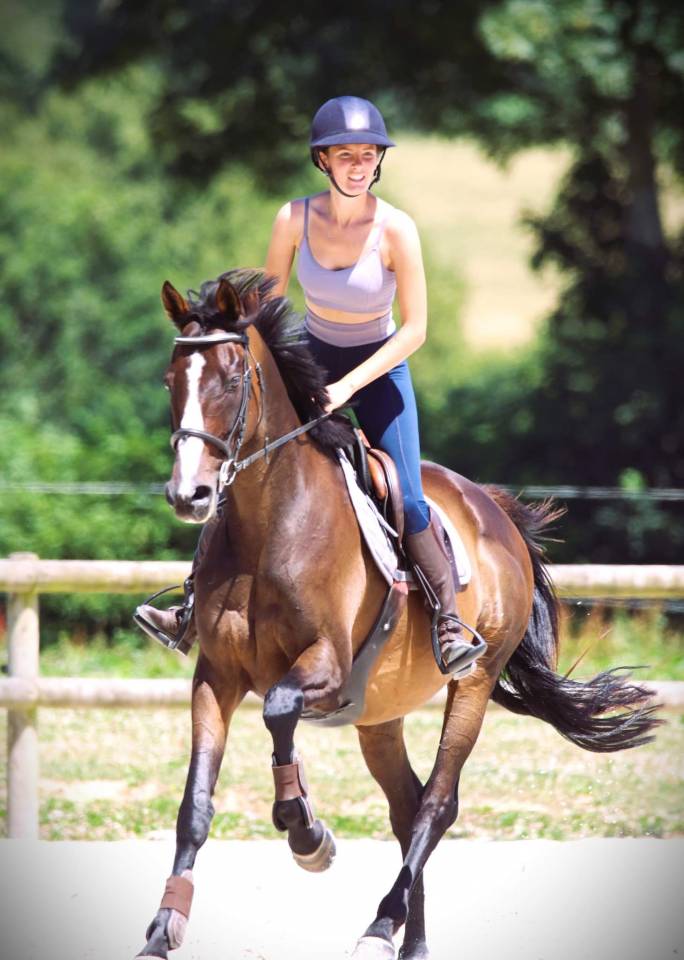 A vendre Super cheval