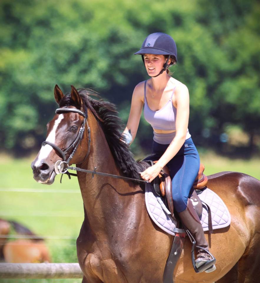 A vendre Super cheval