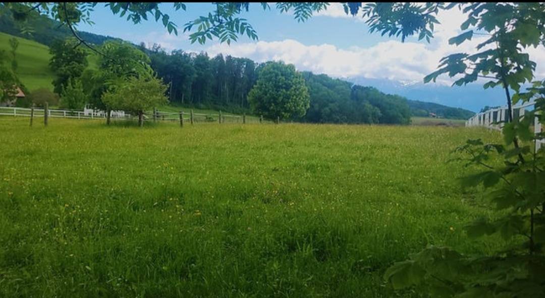 Pension à Puidoux (Vaud)