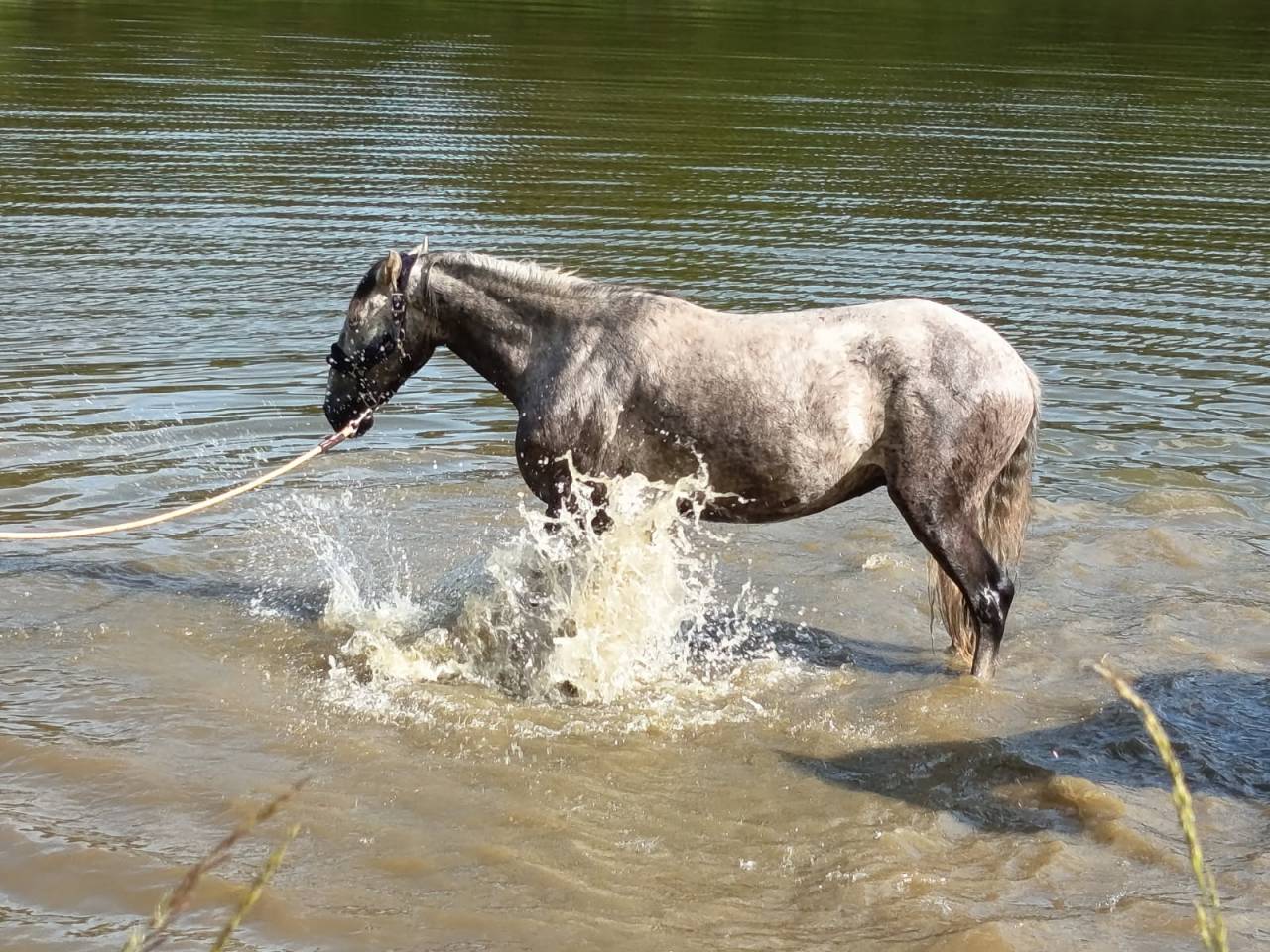 Quartel psl pp 5 ans 