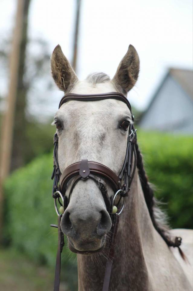 Quartel psl pp 5 ans 