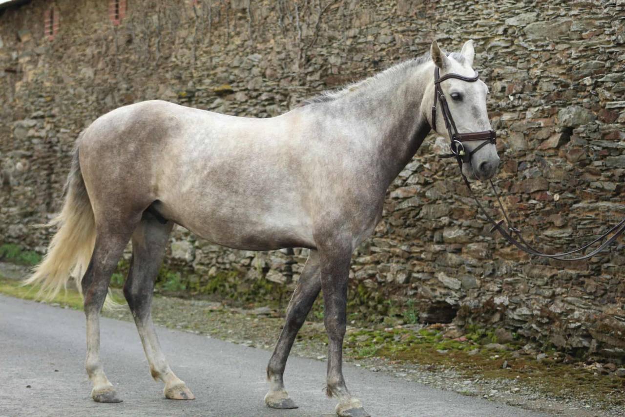 Quartel psl pp 5 ans 