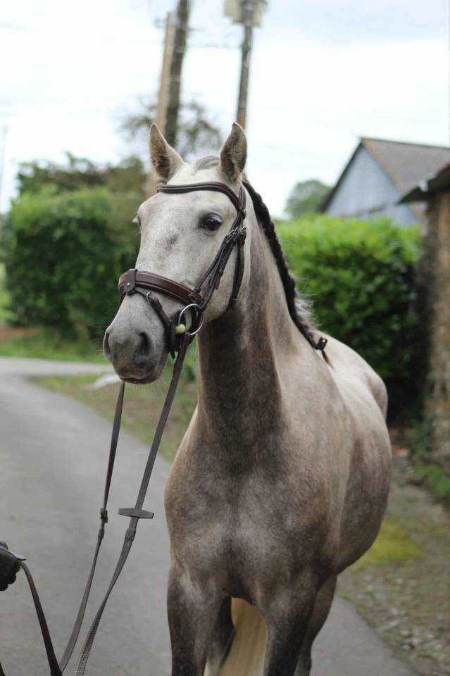 Quartel psl pp 5 ans 