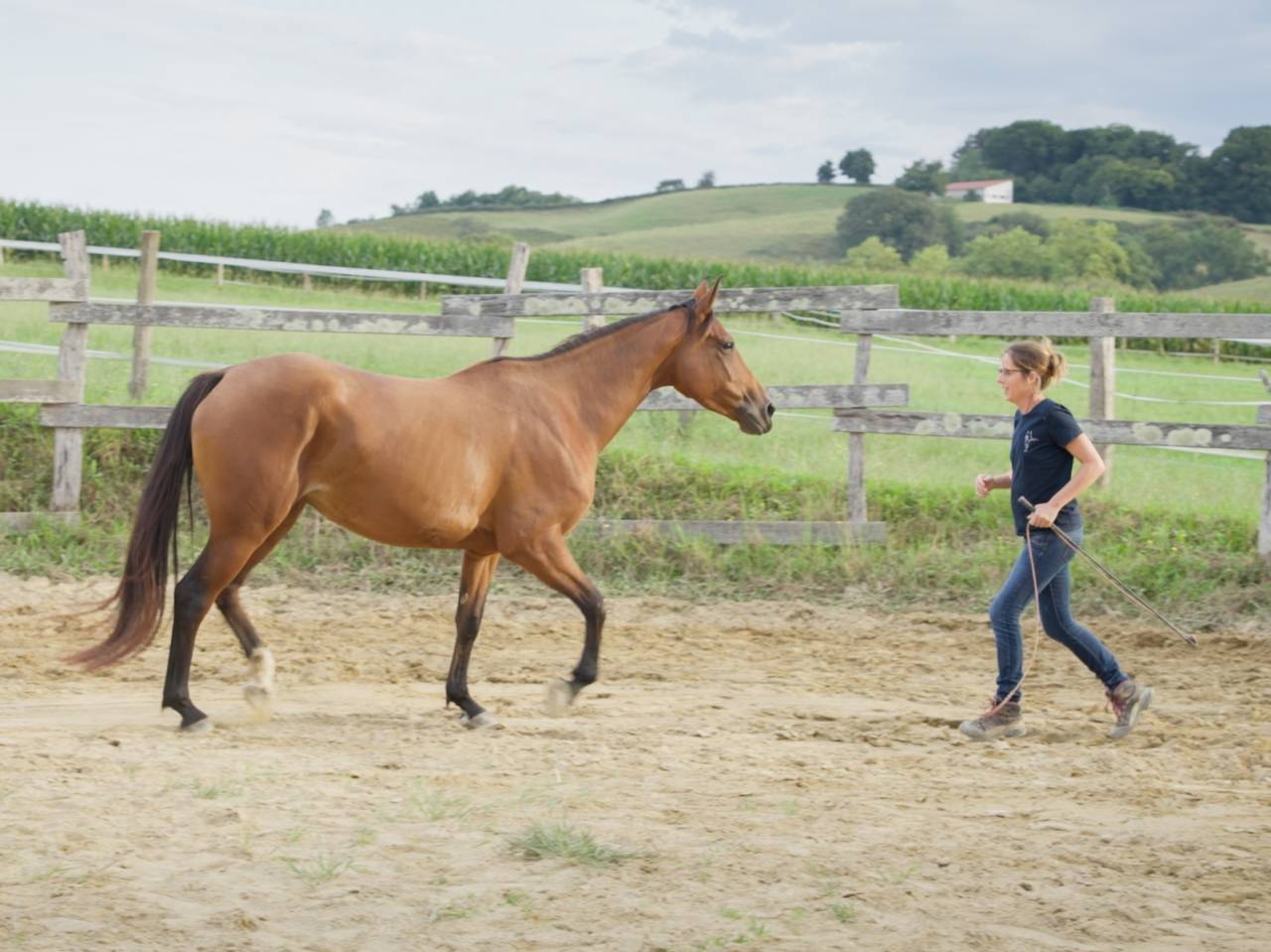 Lya de Lukuya ( mai 2025)