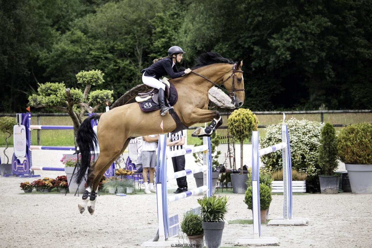 Cheval de 13 ans ayant classé 1m45