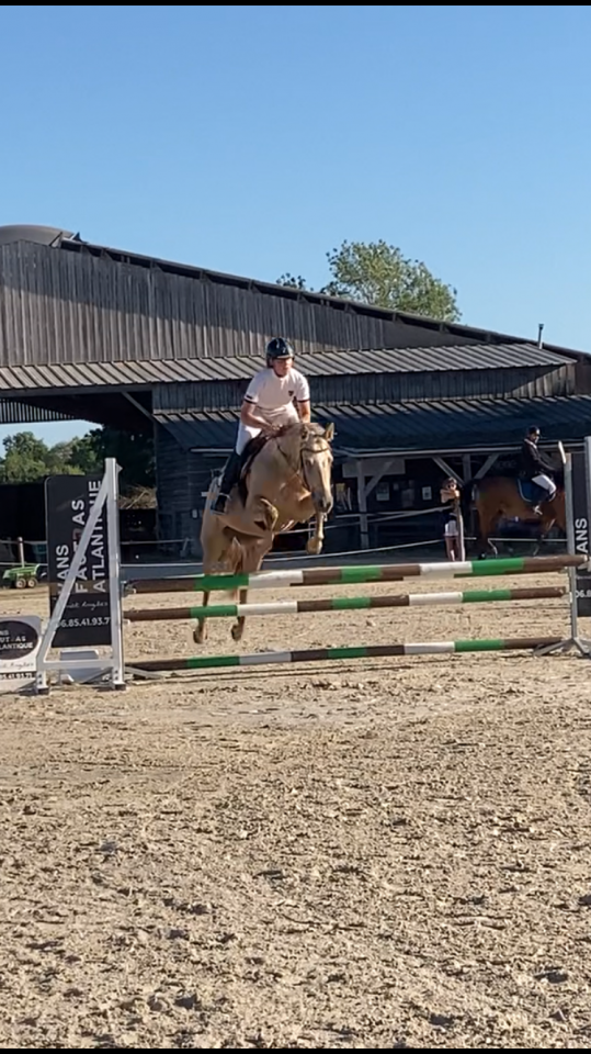 Jument poney de sport et loisirs 