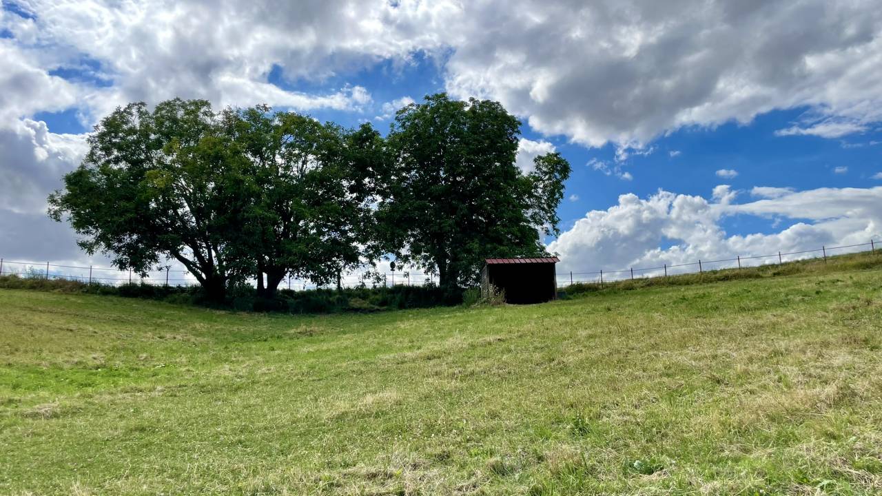 Pension au pr&eacute; &agrave; Maule 78580