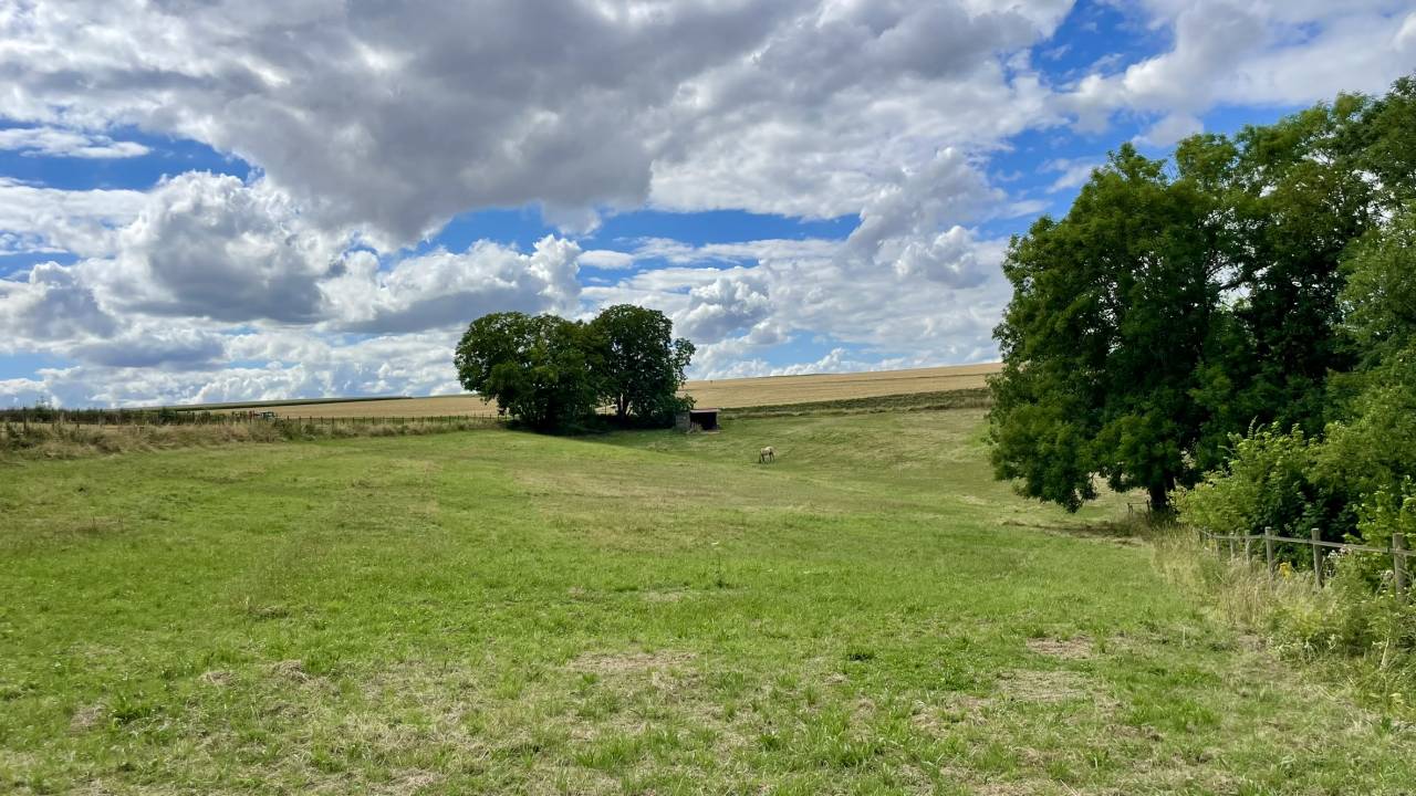 Pension au pr&eacute; &agrave; Maule 78580